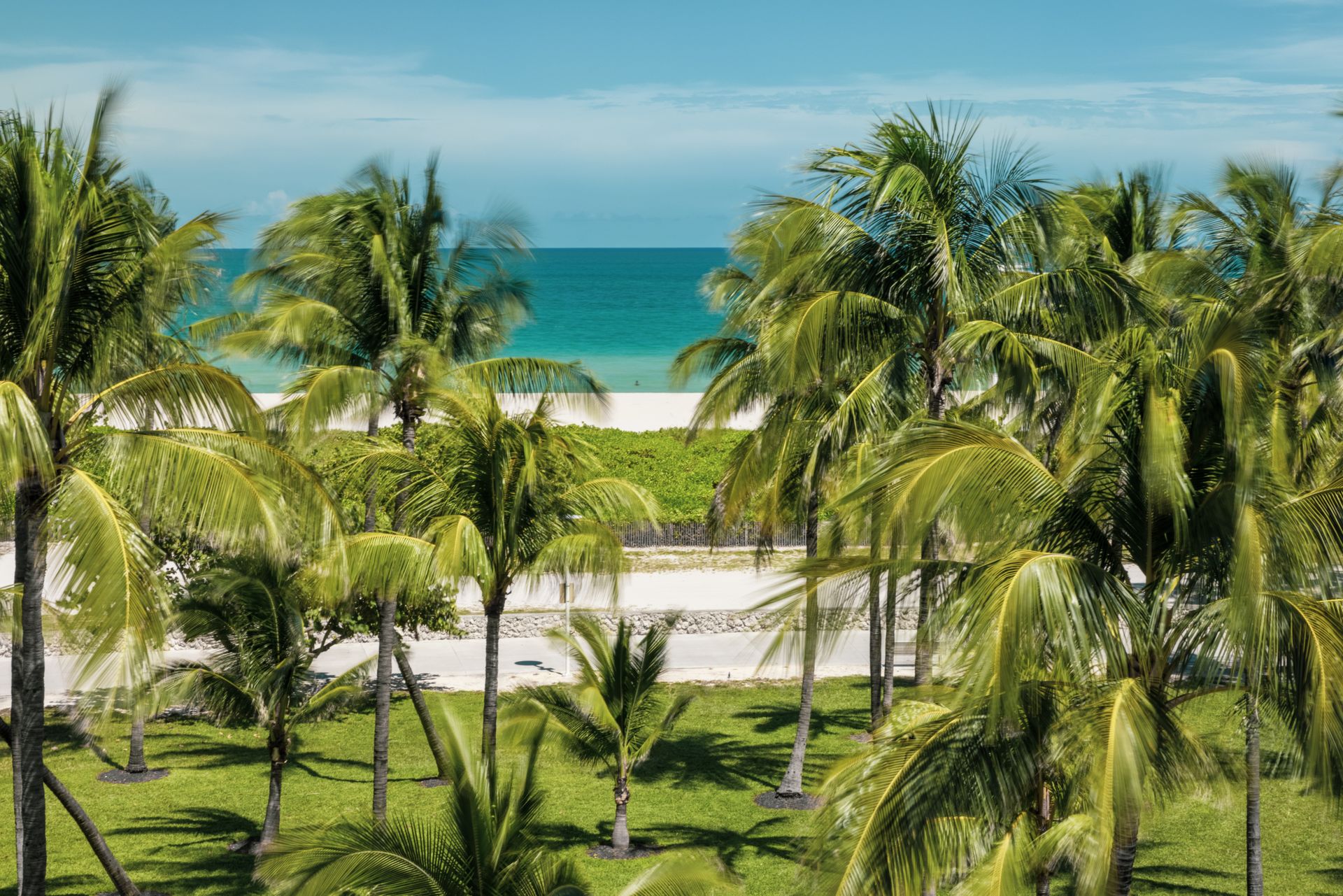 View of a green park with palm trees leading to a sandy beach and turquoise ocean.